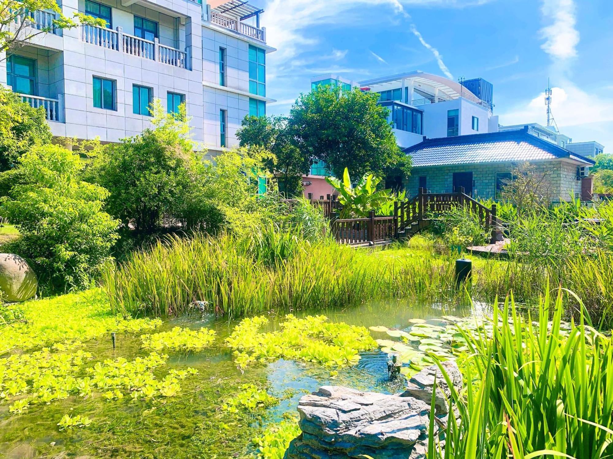 Shushe Hotel Şanghay Dış mekan fotoğraf