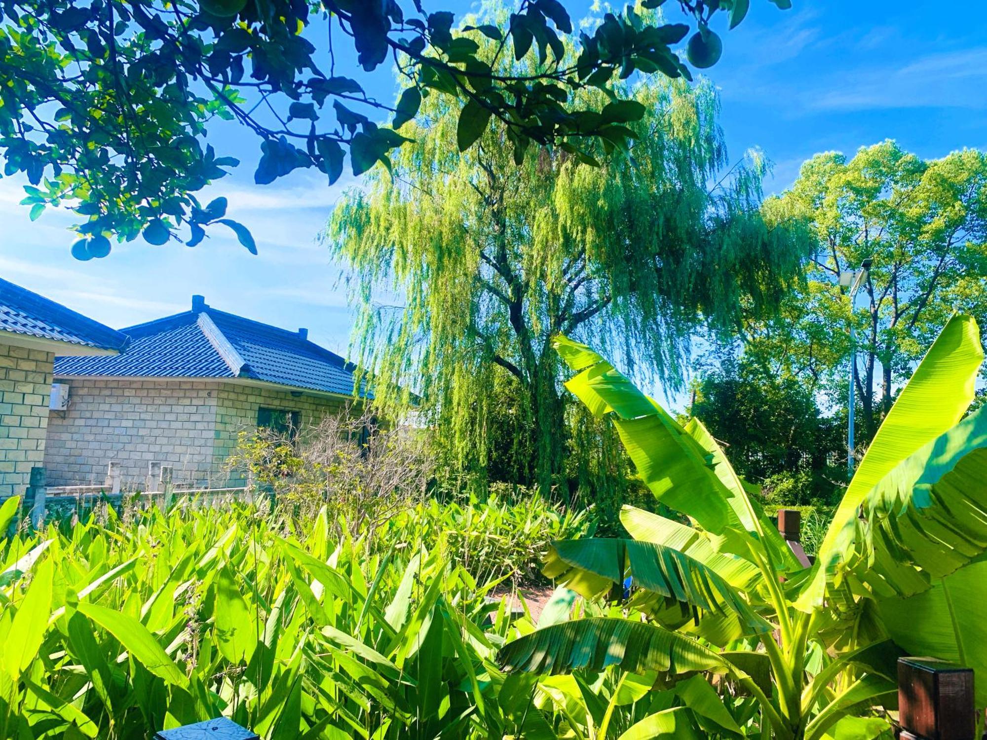 Shushe Hotel Şanghay Dış mekan fotoğraf